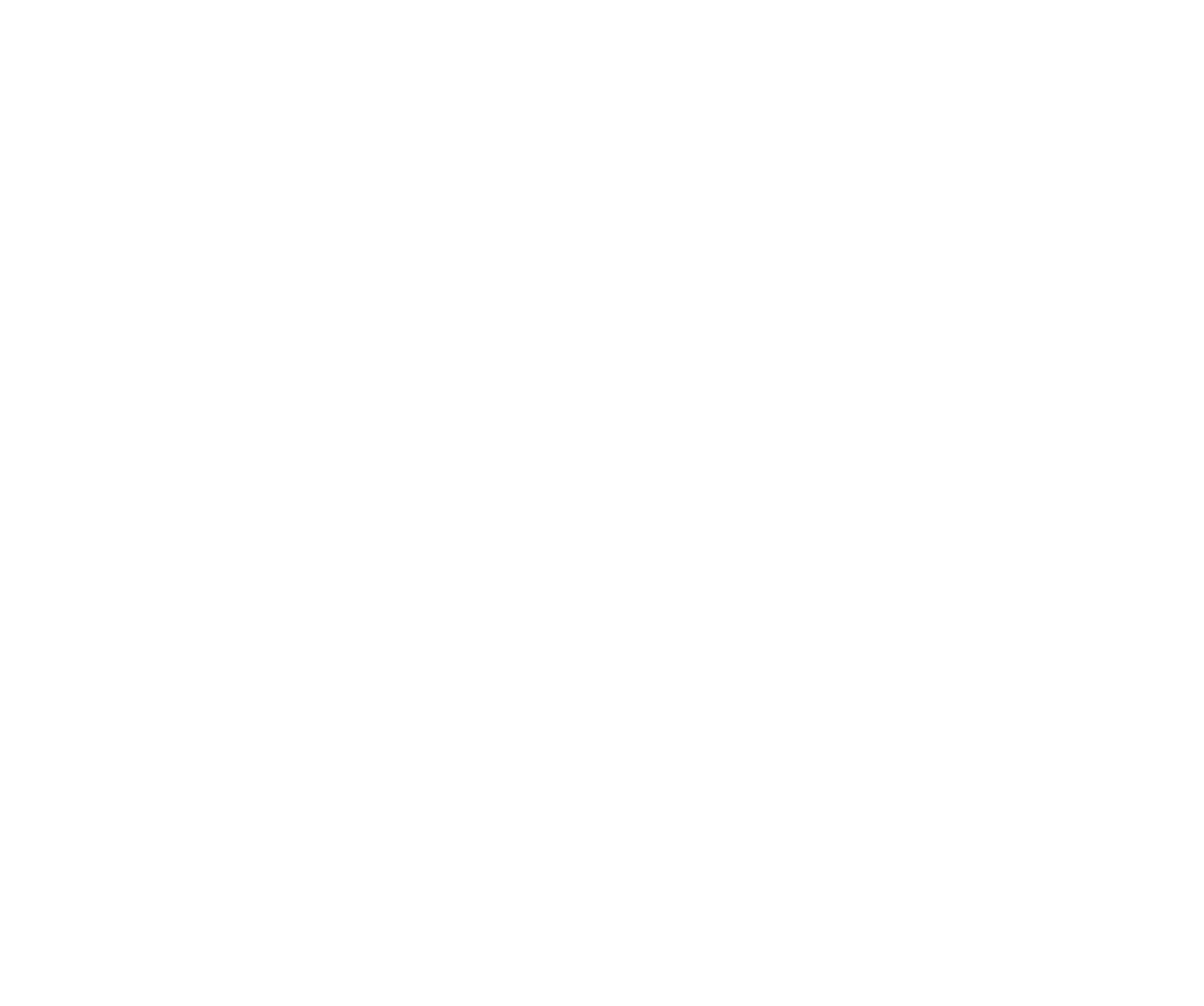 bergen_consulting_white